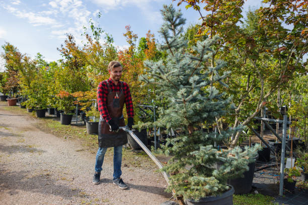 Best Fruit Tree Pruning  in Sconsin Rapids, WI